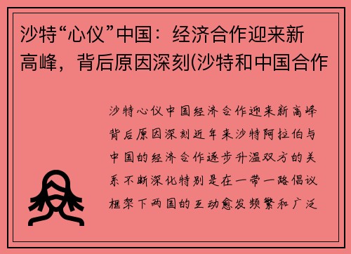 沙特“心仪”中国：经济合作迎来新高峰，背后原因深刻(沙特和中国合作)